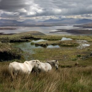 IRELAND